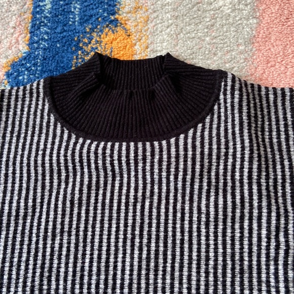 Joan Vass Zebra Striped Turtle Neck Sweater - Picture 3 of 9